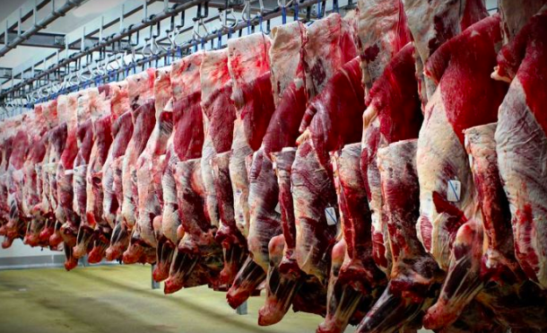 واردات گوشت بیشتر برای کنترل قیمت بازار