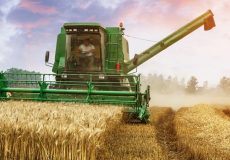 زمان اعلام نرخ خرید تضمینی محصولات کشاورزی